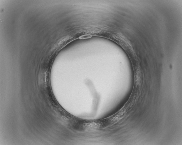 X0000060260115200511181404