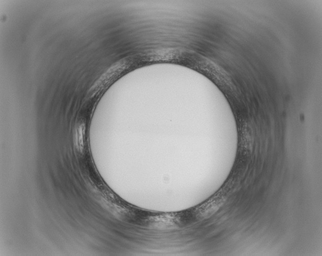 X0000060260118200511181404