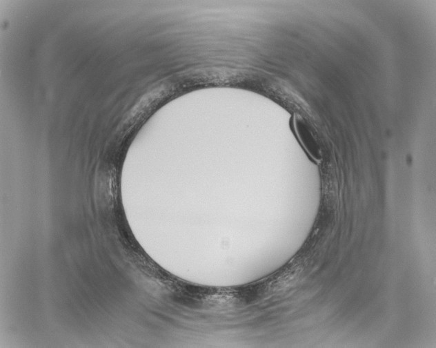 X0000060260119200511181404