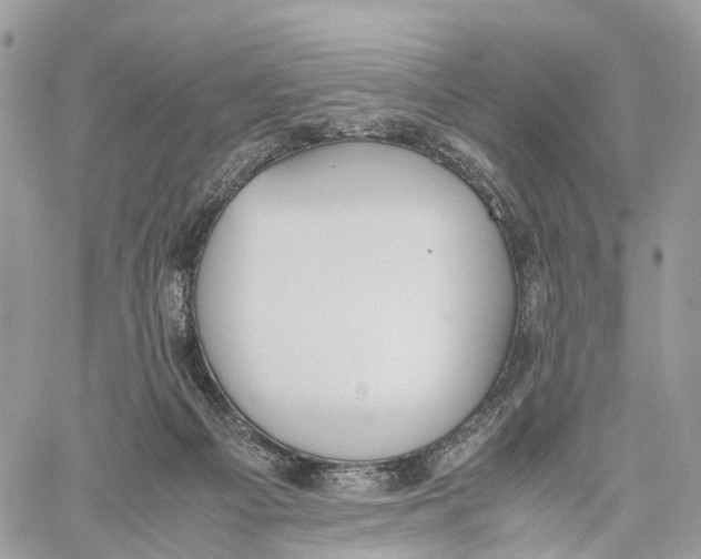 X0000060260121200511181404