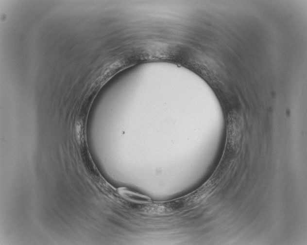 X0000060260123200511181404