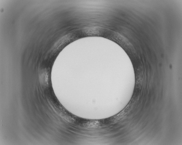 X0000060260124200511181404