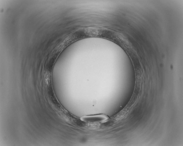 X0000060260125200511181404