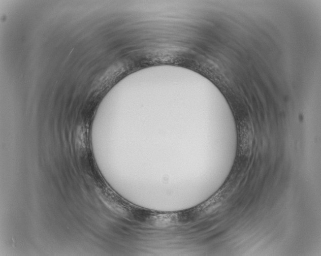 X0000060260126200511181404