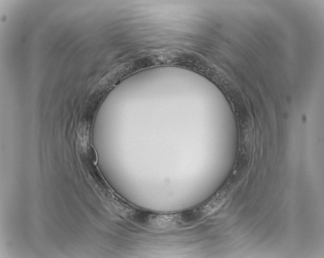 X0000060260129200511181404