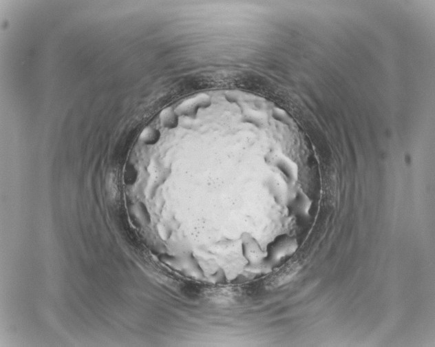 X0000060260131200511181404