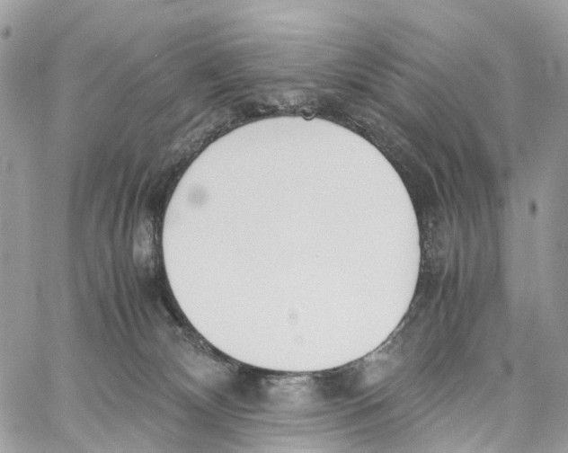 X0000060260132200511181404