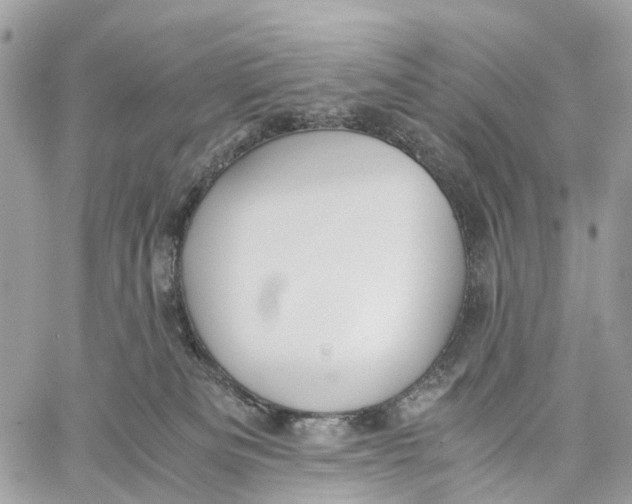 X0000060260133200511181404