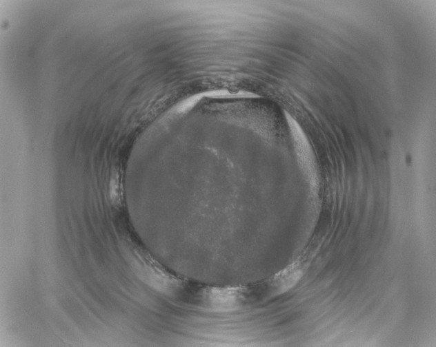 X0000060260134200511181404