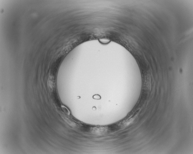 X0000060260135200511181404