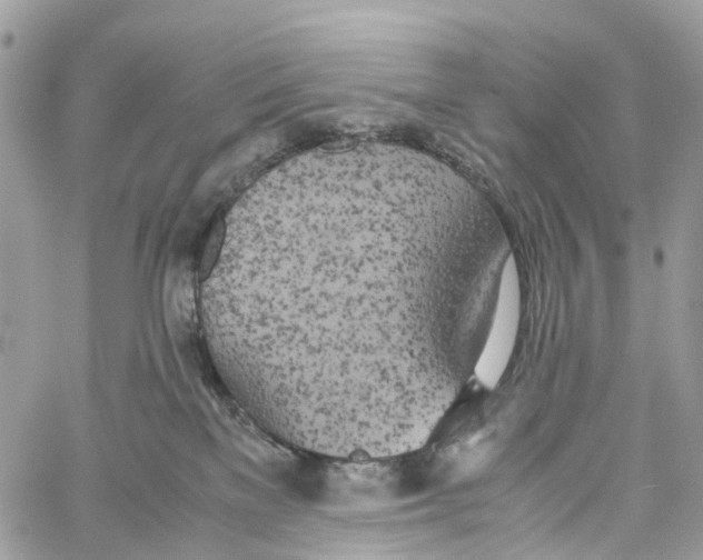 X0000060260137200511181403