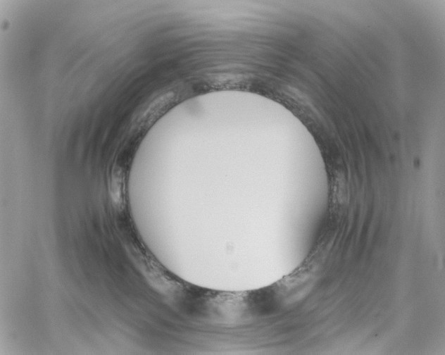 X0000060260138200511181403