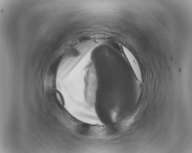 X0000060260139200511181403