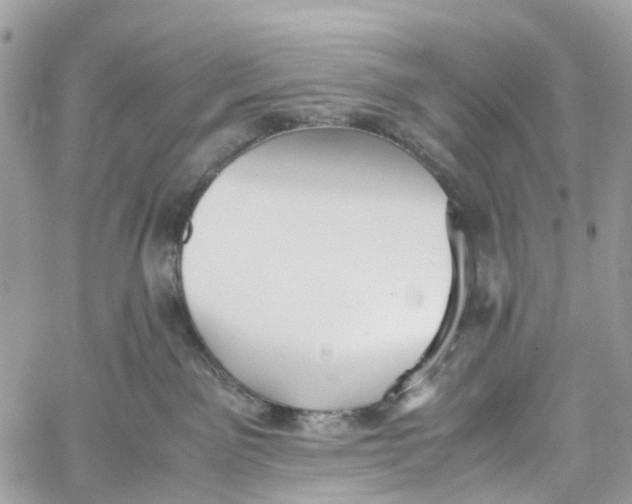 X0000060260141200511181403