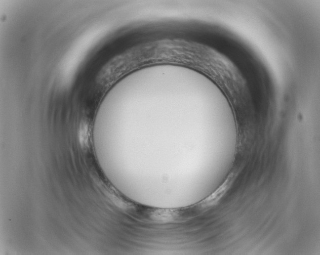 X0000060260142200511181403