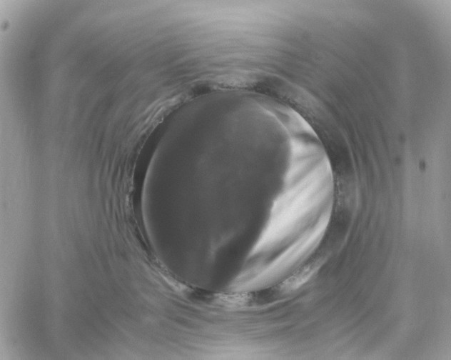 X0000060260143200511181403