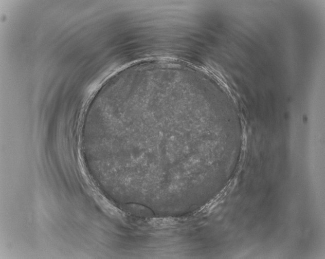 X0000060260145200511181403