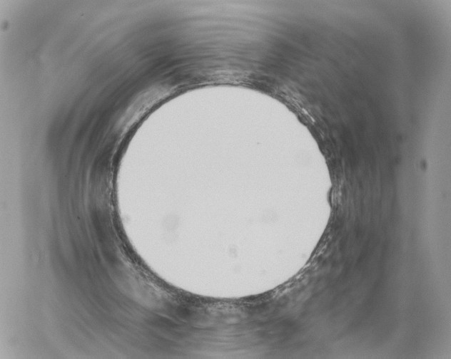 X0000060260146200511181403