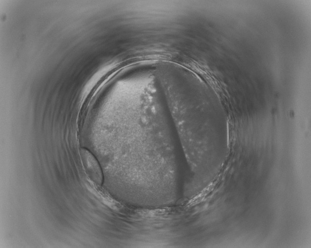 X0000060260147200511181403