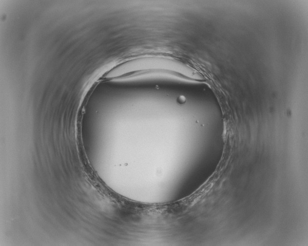 X0000060260148200511181403