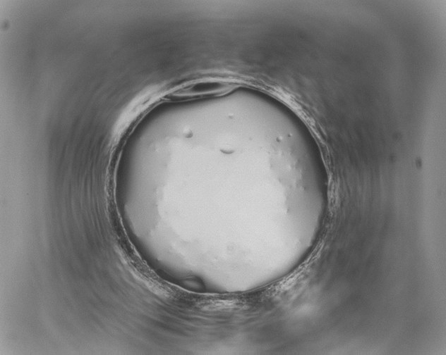 X0000060260151200511181403