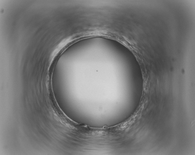 X0000060260152200511181403