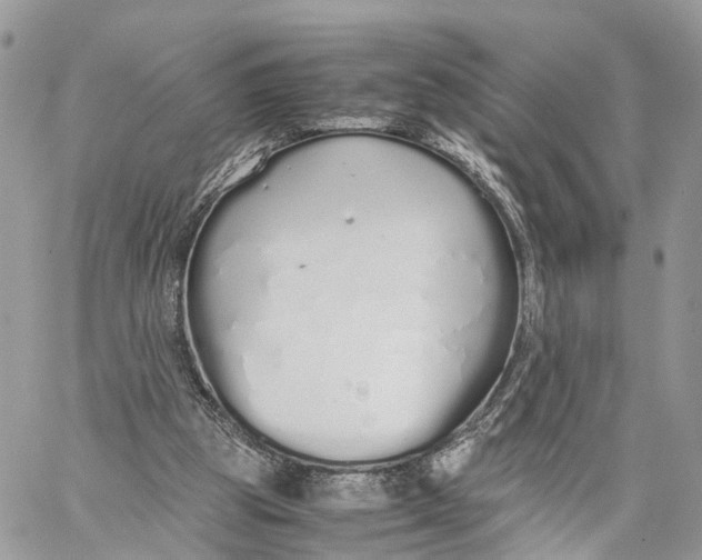 X0000060260153200511181403