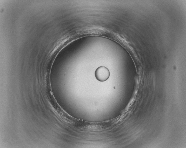 X0000060260154200511181403