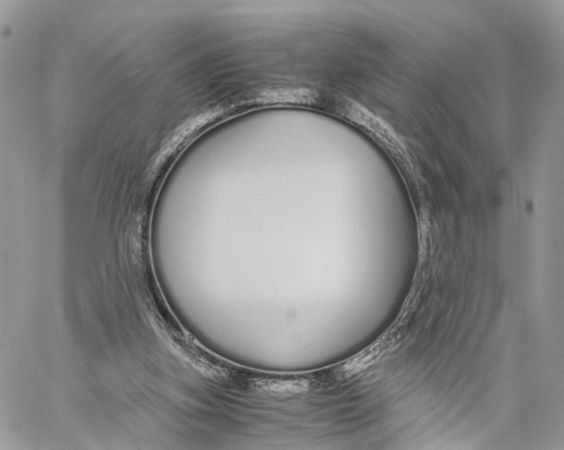 X0000060260155200511181403