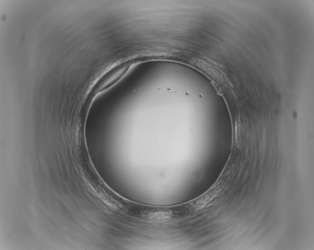 X0000060260156200511181403