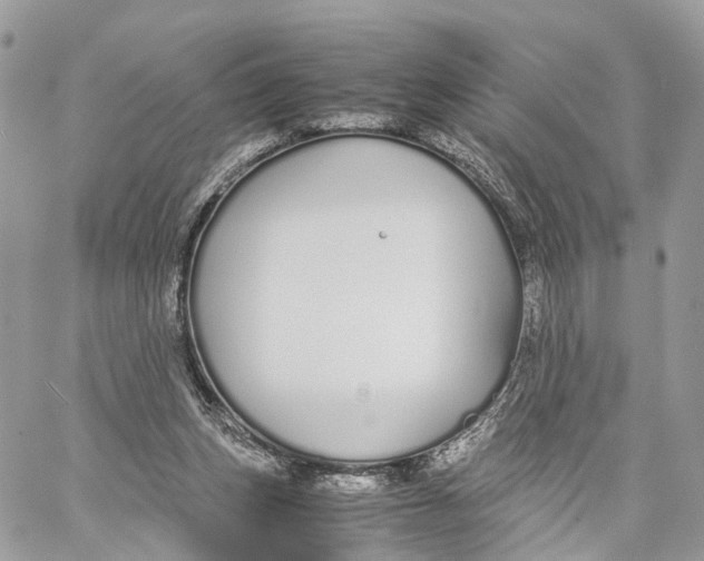 X0000060260159200511181403