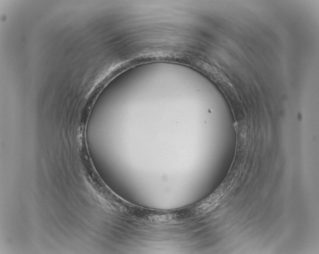 X0000060260160200511181403