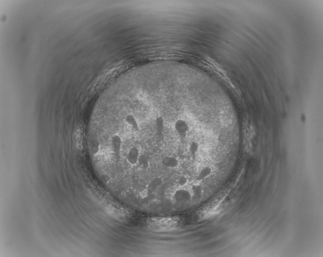 X0000060260161200511181403