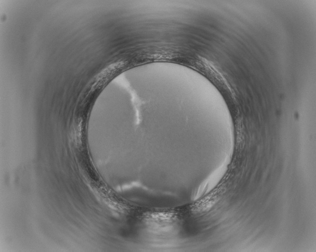 X0000060260163200511181403