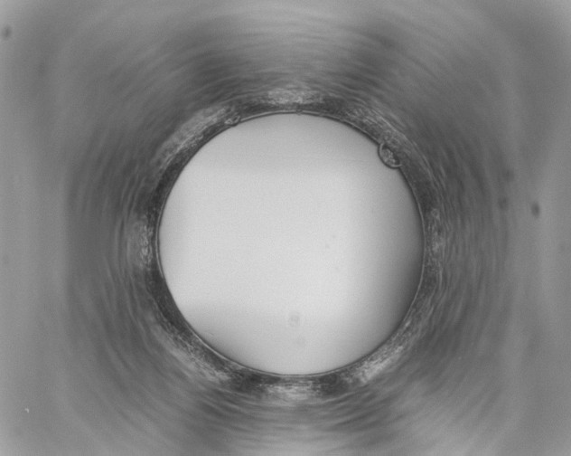 X0000060260164200511181403