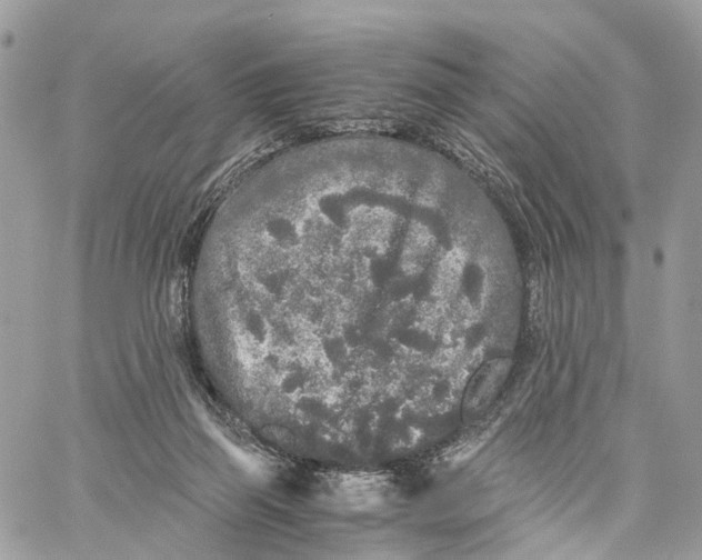 X0000060260165200511181403