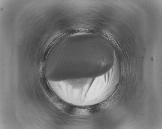 X0000060260167200511181403