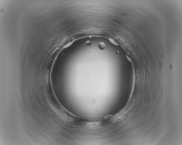 X0000060260168200511181403