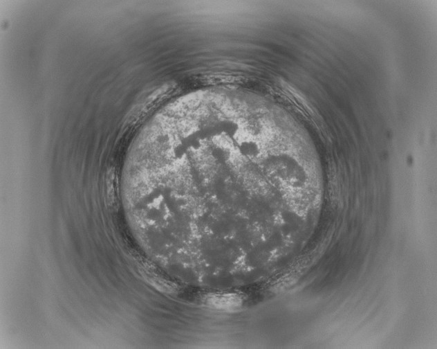 X0000060260169200511181403