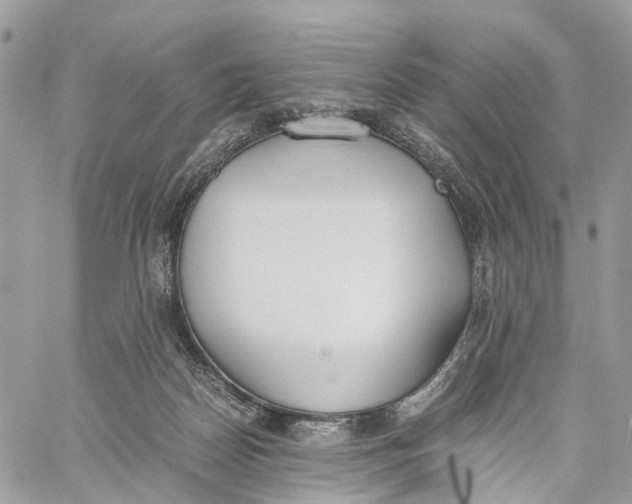 X0000060260170200511181403