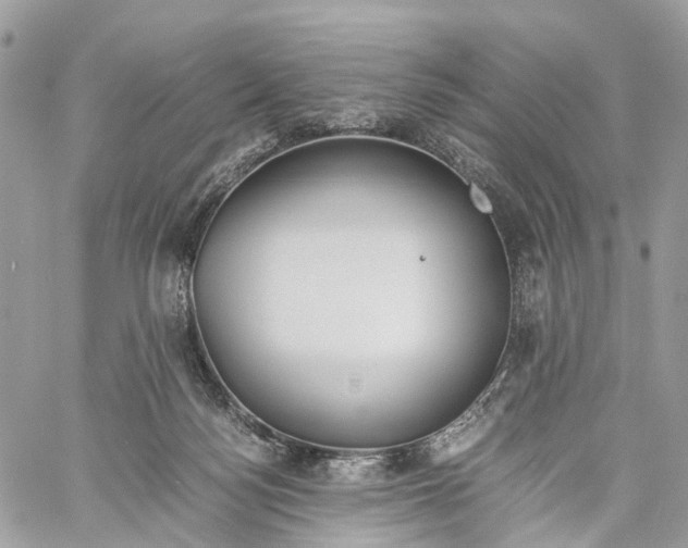 X0000060260172200511181403