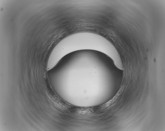 X0000060260175200511181403