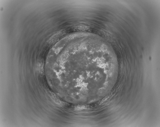 X0000060260177200511181403