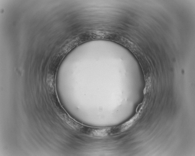 X0000060260178200511181403