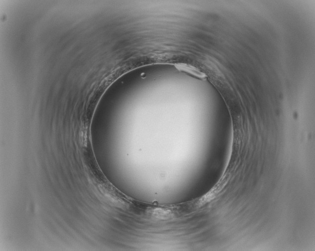 X0000060260180200511181403