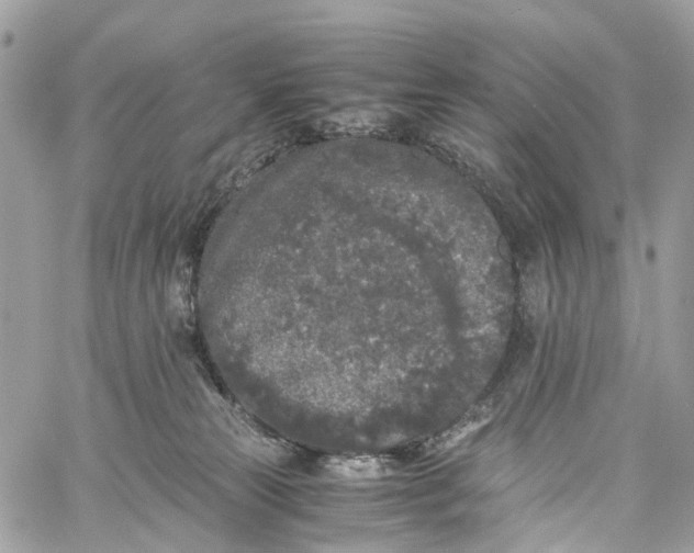 X0000060260181200511181403