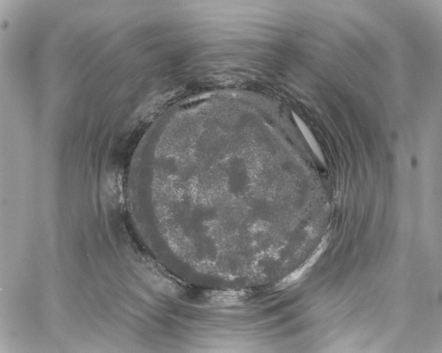 X0000060260182200511181403