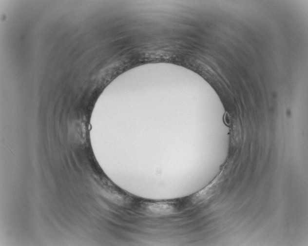 X0000060260183200511181403