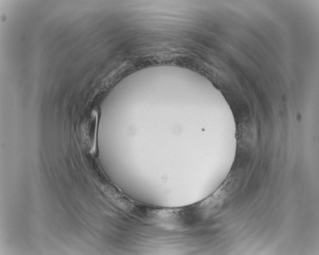 X0000060260184200511181403