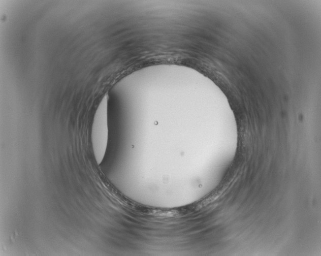 X0000060260185200511181403